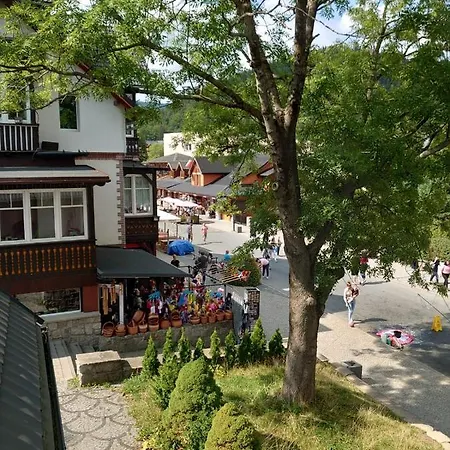 아파트 39 카르파츠